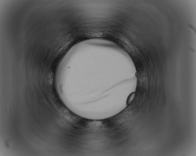 X0000092060374200710101038