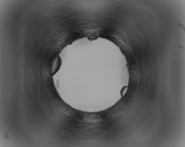 X0000092060375200710101038