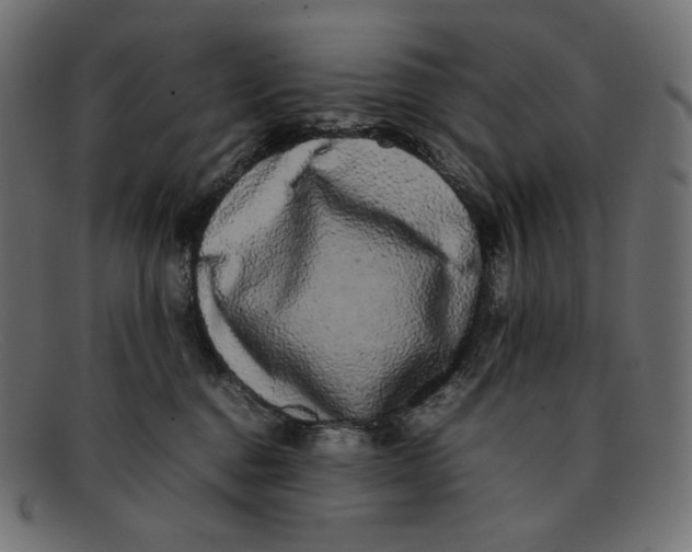 X0000092060376200710101038