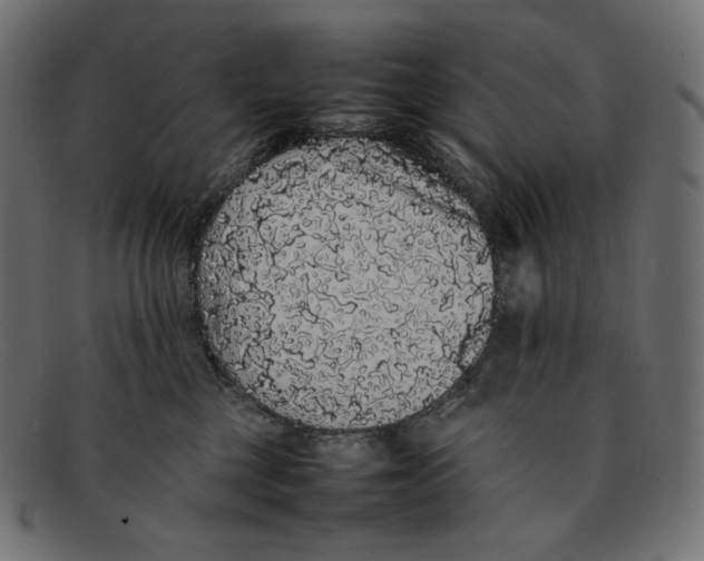 X0000092060377200710101038