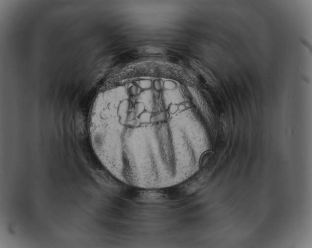 X0000092060380200710101038