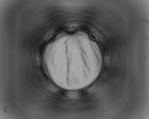 X0000092060381200710101038