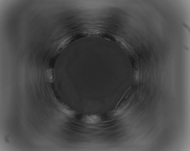 X0000092060383200710101038