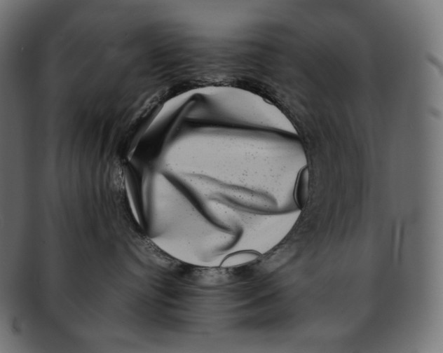 X0000092060384200710101038