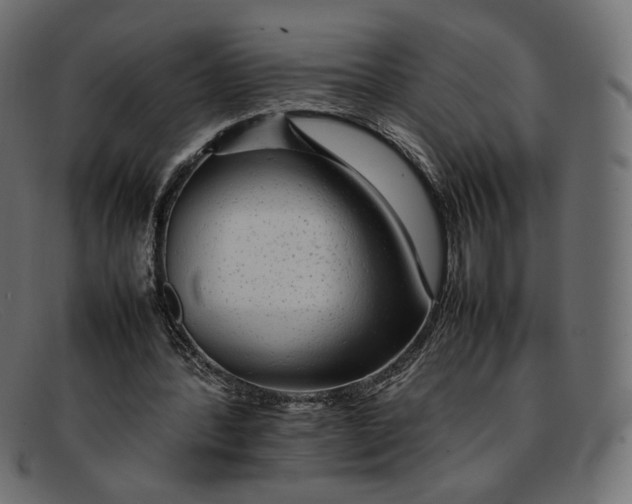 X0000092060388200710101038