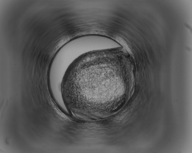 X0000092060389200710101038