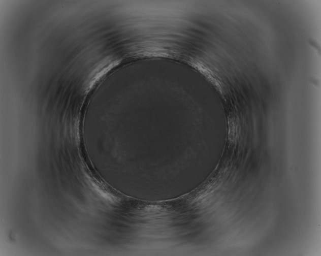 X0000092060390200710101038