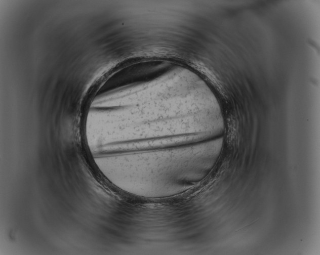 X0000092060392200710101038