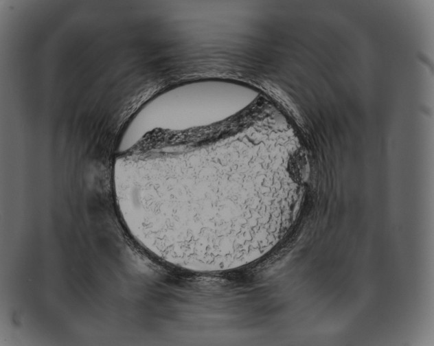 X0000092060393200710101037