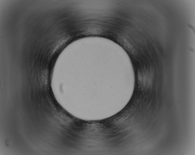 X0000092060396200710101037