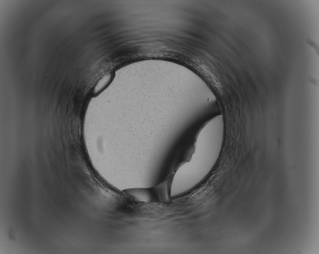 X0000092060397200710101037