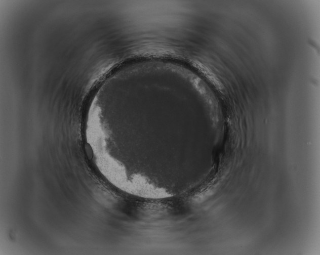 X0000092060399200710101037