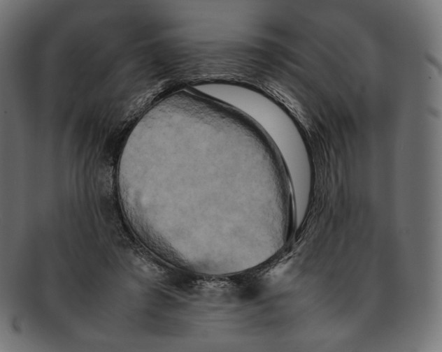 X0000092060401200710101037