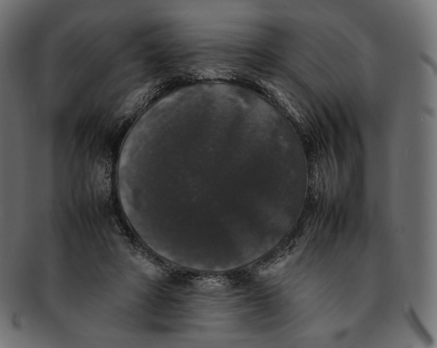 X0000092060402200710101037