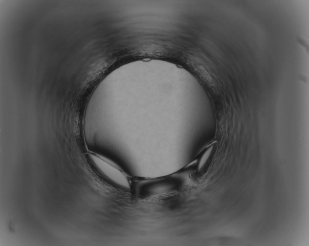 X0000092060403200710101037