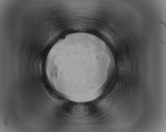 X0000092060404200710101037