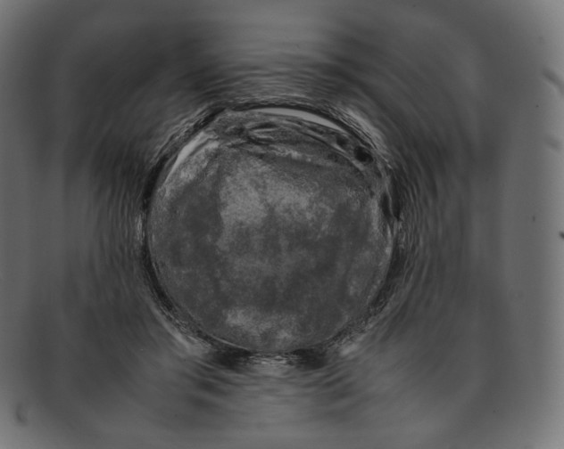 X0000092060405200710101037