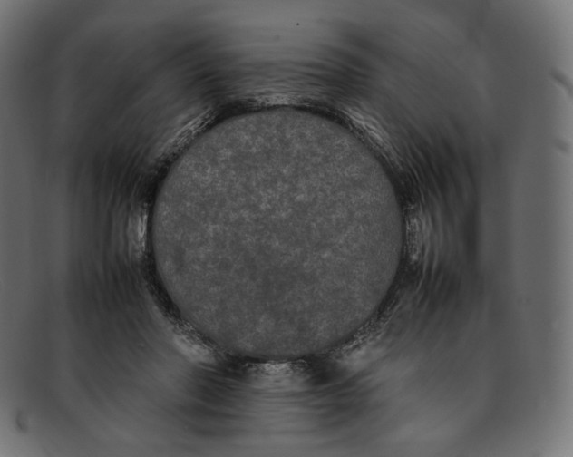 X0000092060406200710101037