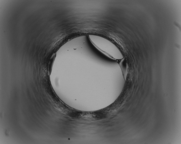 X0000092060407200710101037