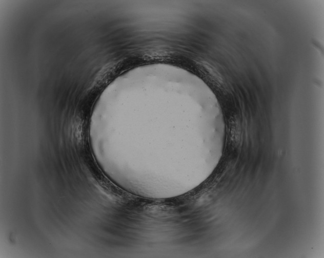 X0000092060408200710101037