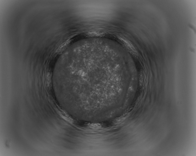 X0000092060409200710101037