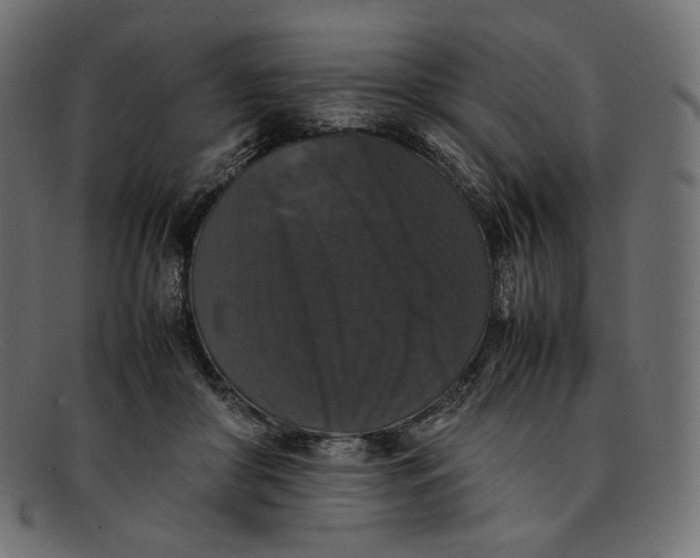 X0000092060410200710101037