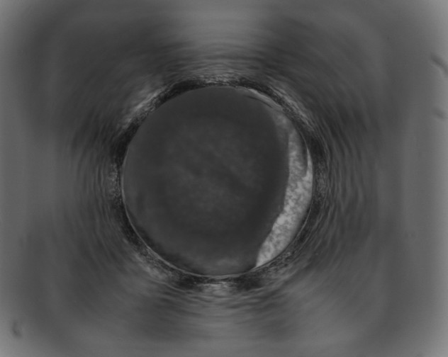 X0000092060411200710101037