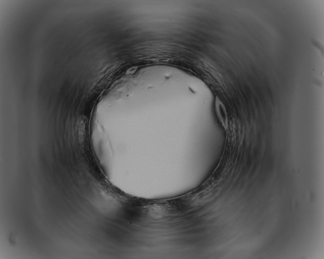 X0000092060412200710101037