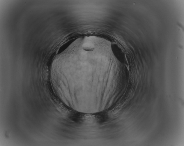 X0000092060413200710101037