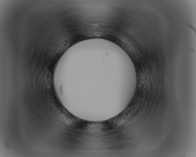 X0000092060414200710101037