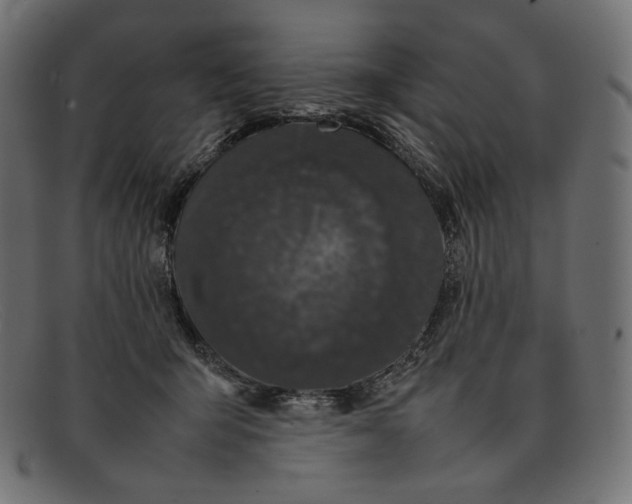 X0000092060415200710101037