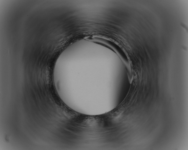 X0000092060416200710101037