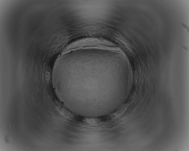 X0000092060417200710101037