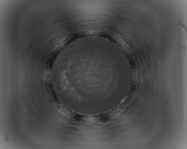 X0000092060419200710101037