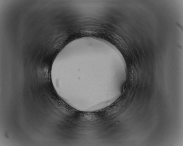 X0000092060420200710101037