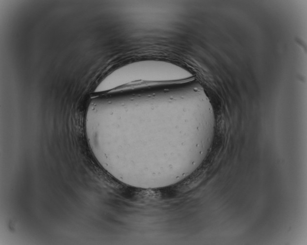 X0000092060421200710101037