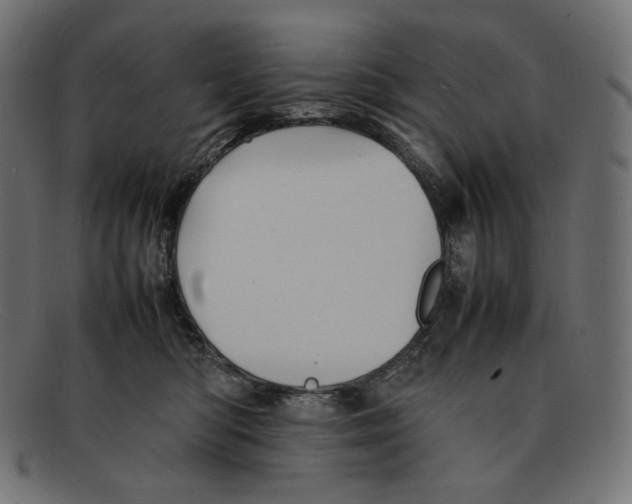 X0000092060422200710101037