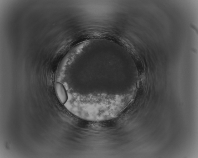 X0000092060423200710101037