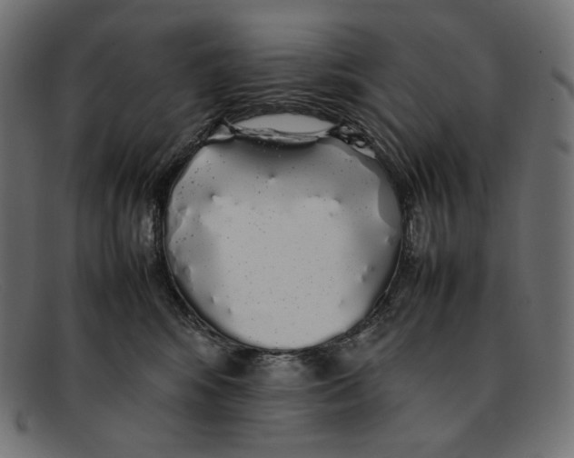 X0000092060424200710101037