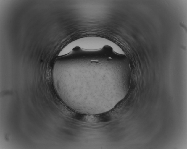 X0000092060425200710101037