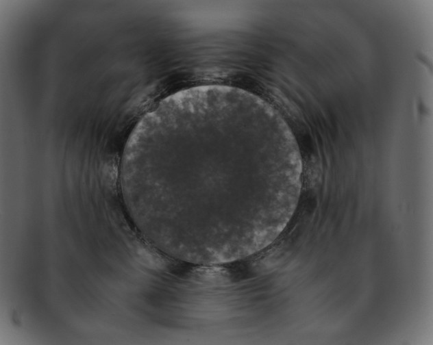 X0000092060427200710101037