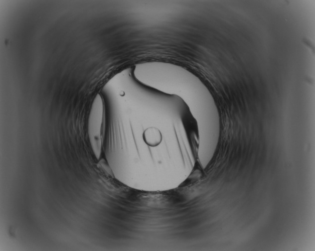 X0000092060428200710101037