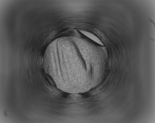 X0000092060429200710101037