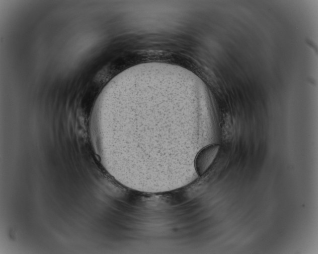 X0000092060430200710101037