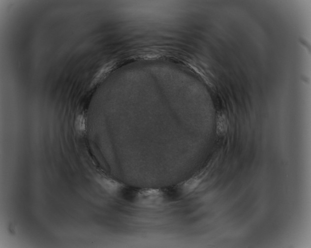 X0000092060431200710101037