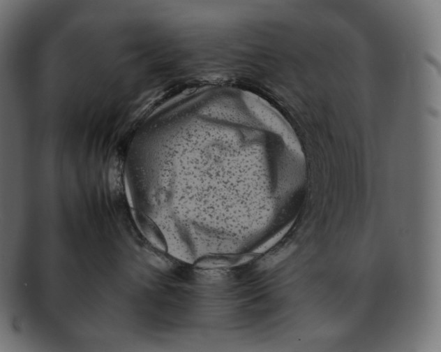 X0000092060432200710101037