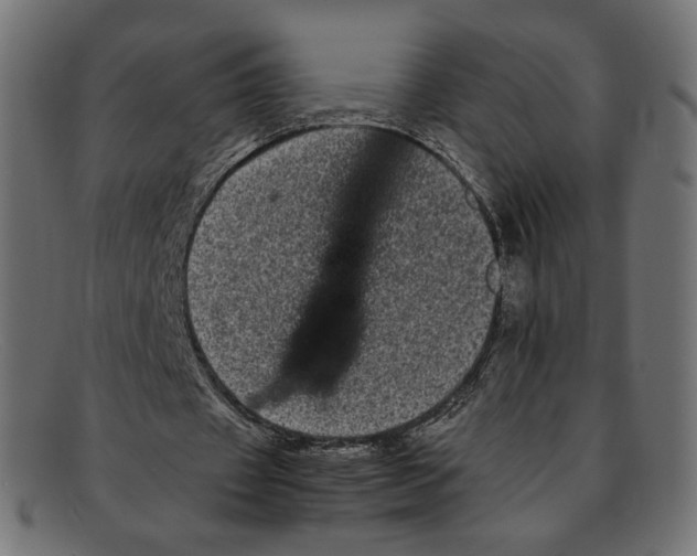 X0000092060433200710101036