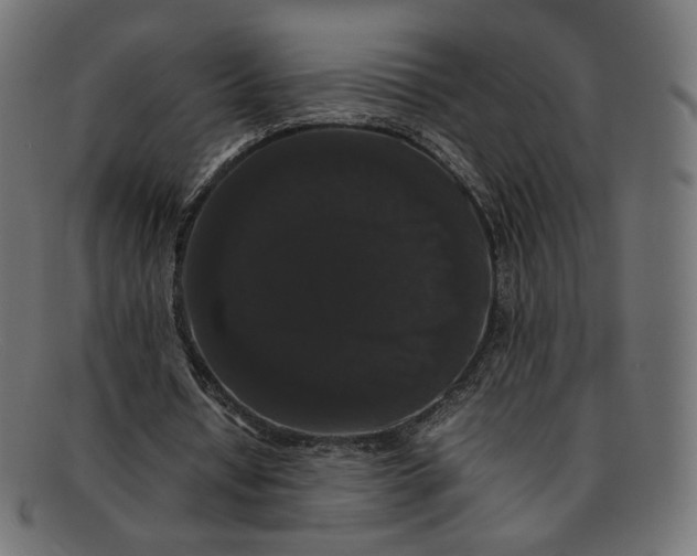 X0000092060434200710101036