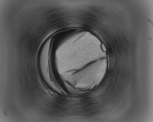 X0000092060435200710101036