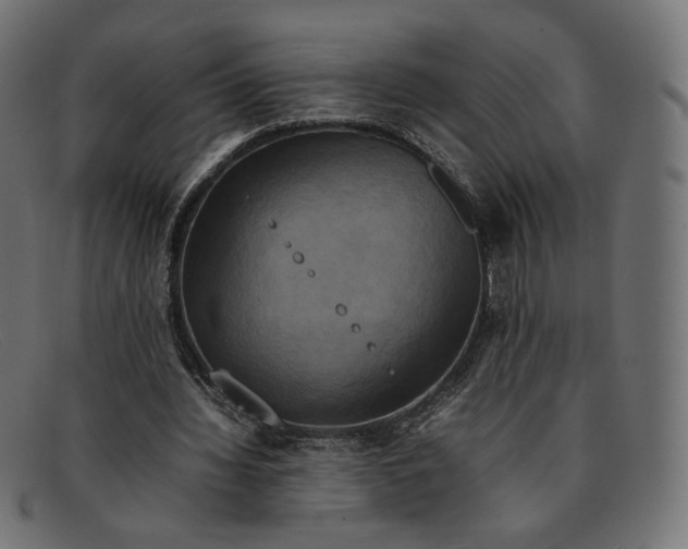 X0000092060436200710101036